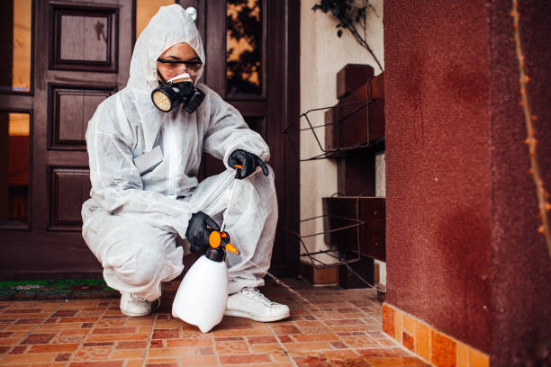 Reliable Wasp Removal contractor in Lakewood, SC by Show Me Pest Control
